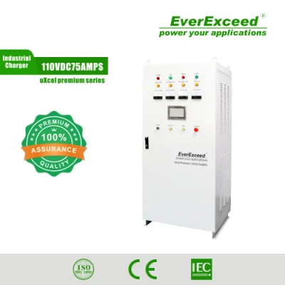 Fabricant de chargeur de batterie de sous-station monophasé/PV Everexceed standard